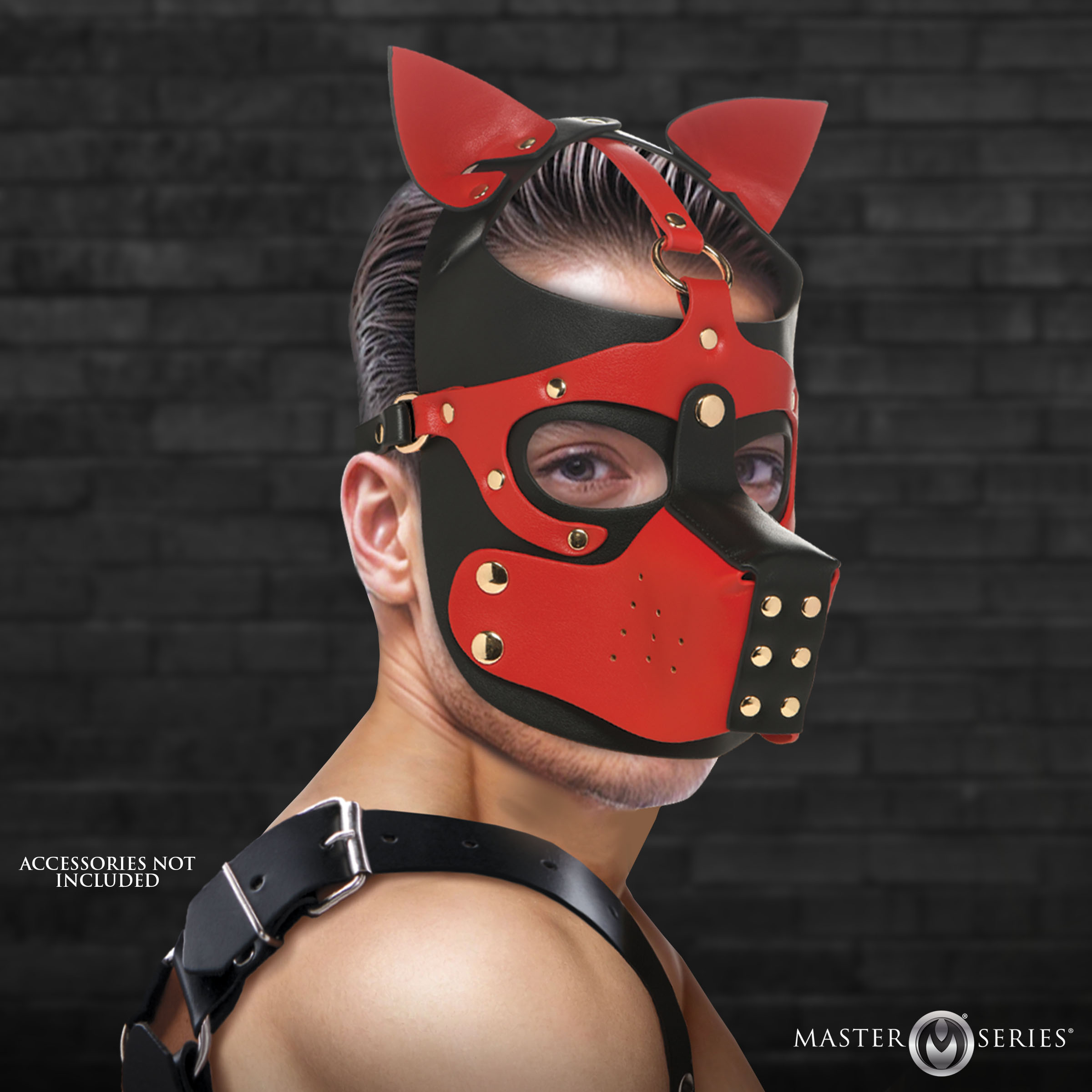 Hound Hood with Muzzle