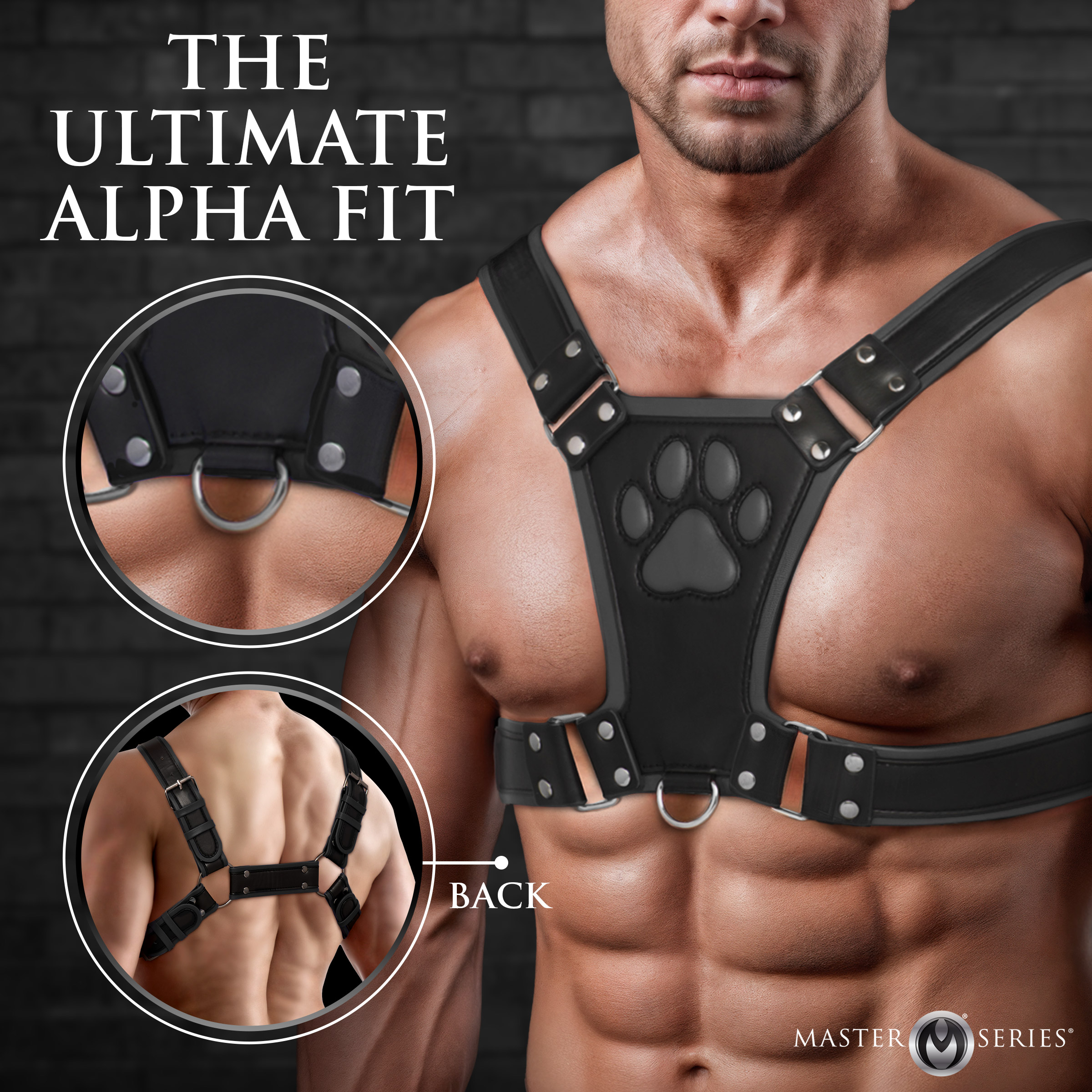 Alpha Pup Bulldog Harness - Black - Image 2