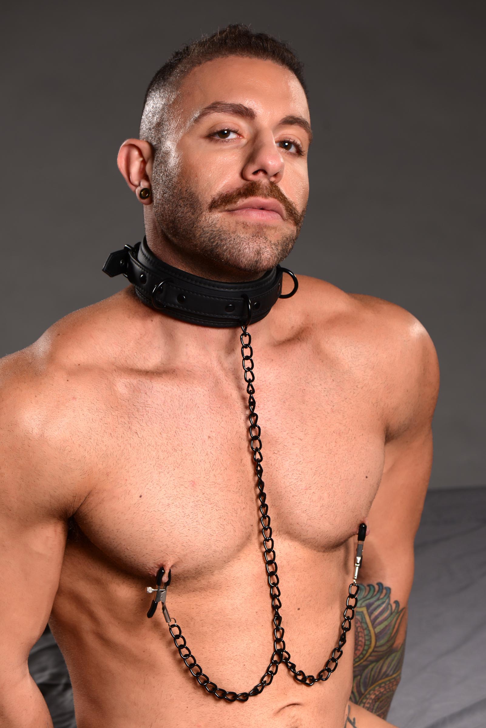 Collared Temptress Collar with Nipple Clamps - Image 3