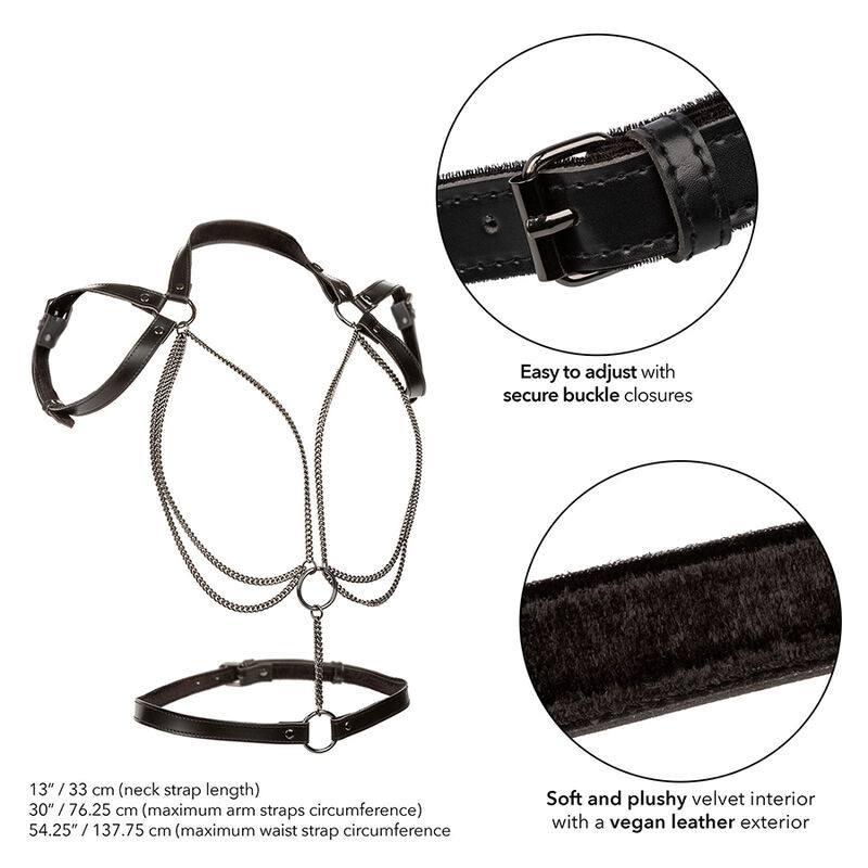 CALEXOTICS - EUPHORIA MULTICHAIN HALTER HARNESS PREMIUM PLUS SIZE - Image 7