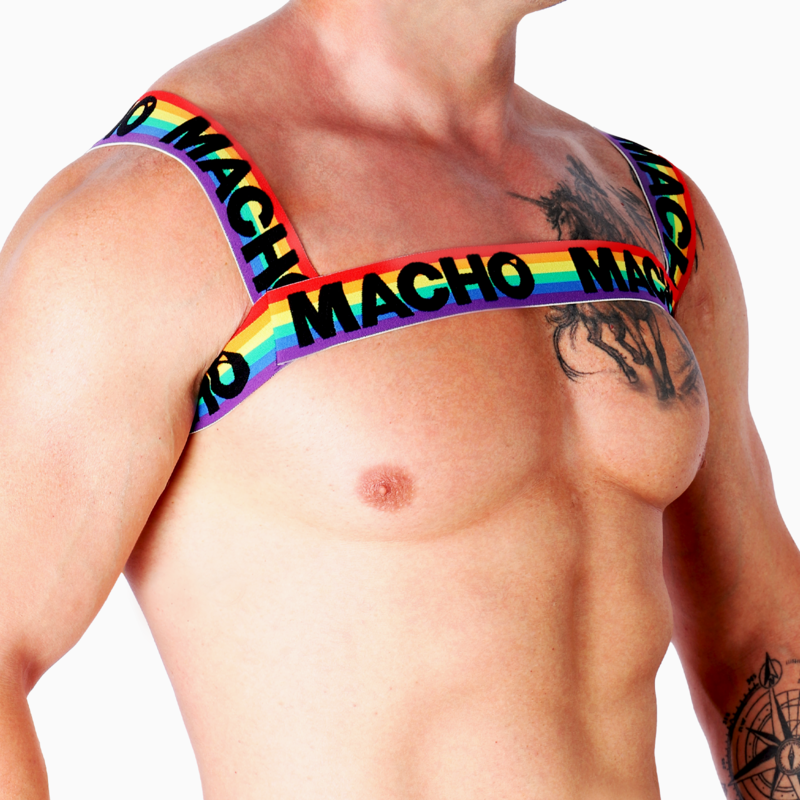MACHO - DOUBLE HARNESS PRIDE LIMITED - Image 6