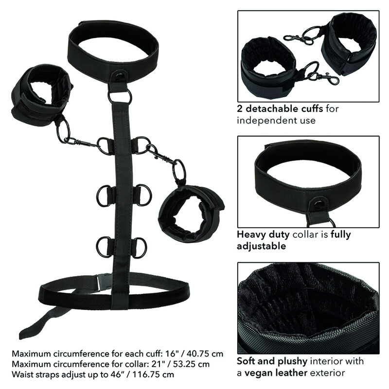 CALEXOTICS - BOUNDLESS COLLAR BODY RESTRAINT - Image 6