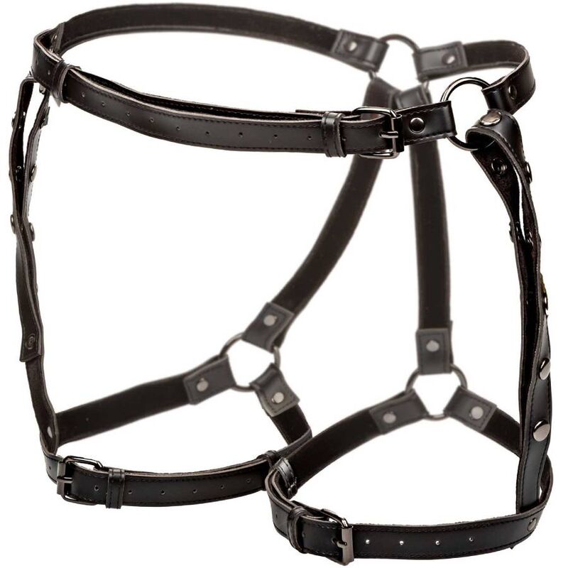 CALEXOTICS - EUPHORIA PLUS SIZE RIDING THIGH HARNESS - Image 4