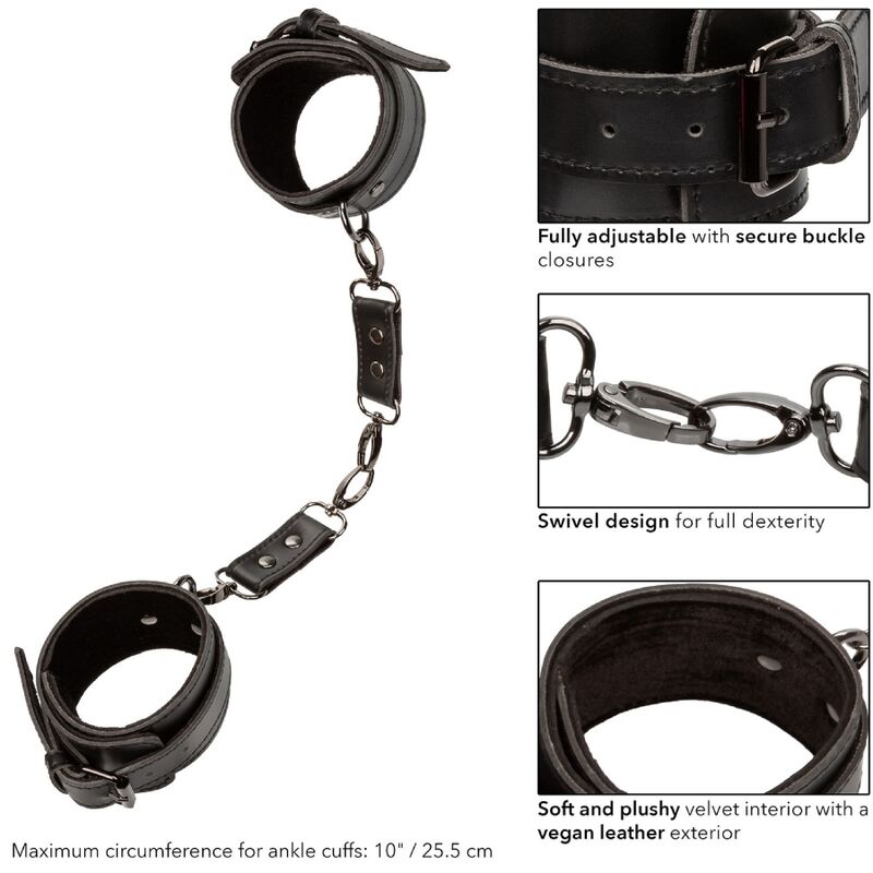 CALEXOTICS - EUPHORIA ANKLE CUFFS - Image 7