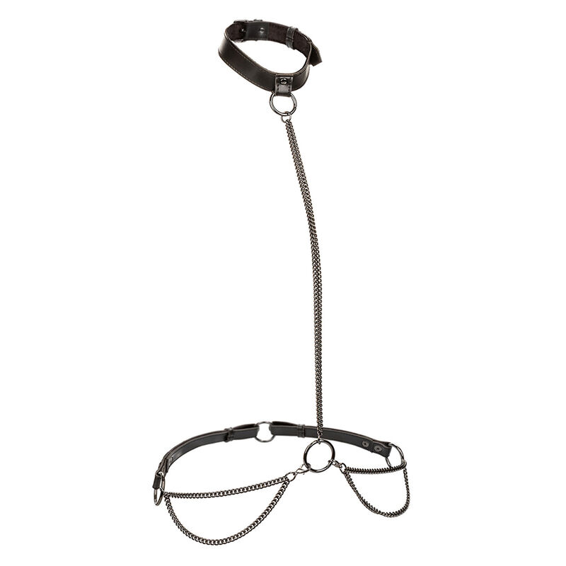 CALEXOTICS - EUPHORIA CHAIN HALTER COLLAR & LEASH PLUS SIZE - Image 2