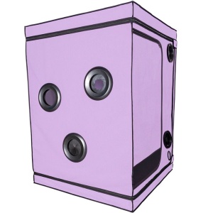 SECRET DOME - KINK CLUB CABIN SCANDALE PURPLE